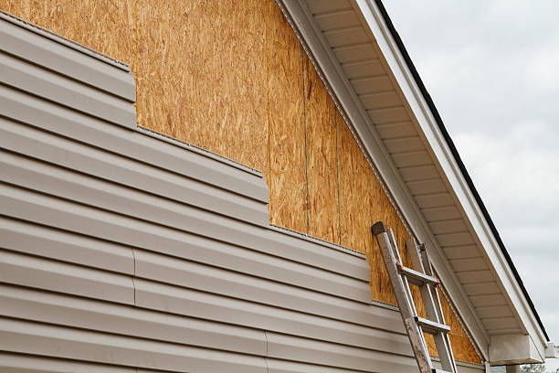 Professional Siding Inspection technician working in Quincy, MA